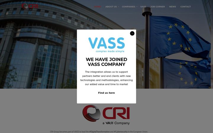 Screenshot of cri-group.eu