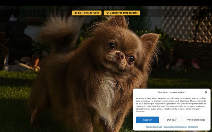 Screenshot of criaderochihuahuas.com