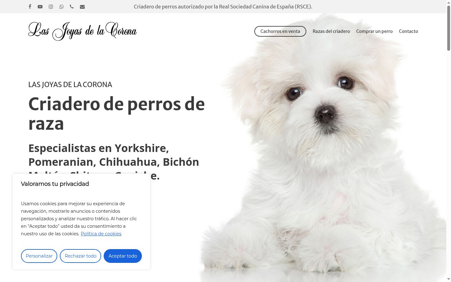 Sutikimo reklamjuostės, rodytos prieš bet kokią sąveiką, ekrano kopija