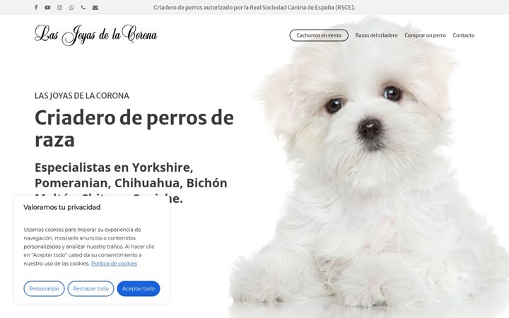 Snímek obrazovky criaderolasjoyasdelacorona.es