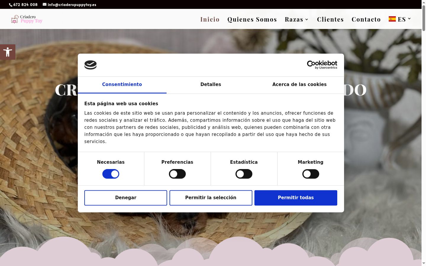 Screenshot del banner di consenso mostrato prima di qualsiasi interazione