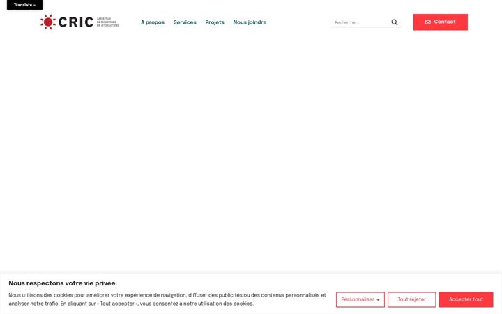 Screenshot of criccentresud.org
