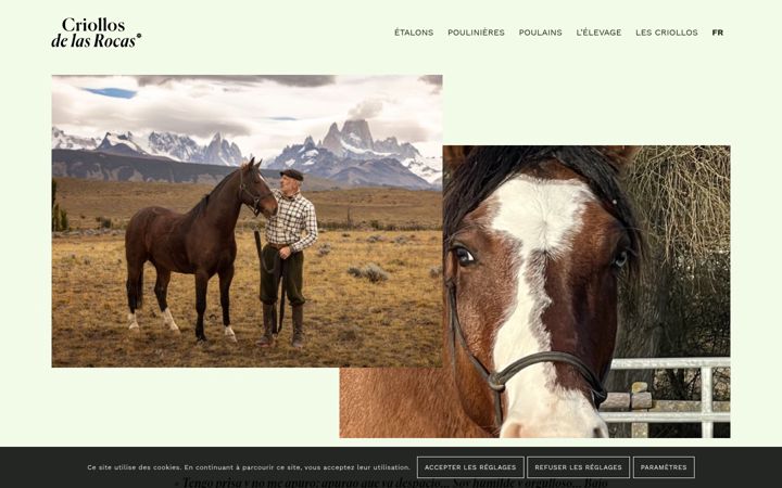 Screenshot of criollosdelasrocas.fr