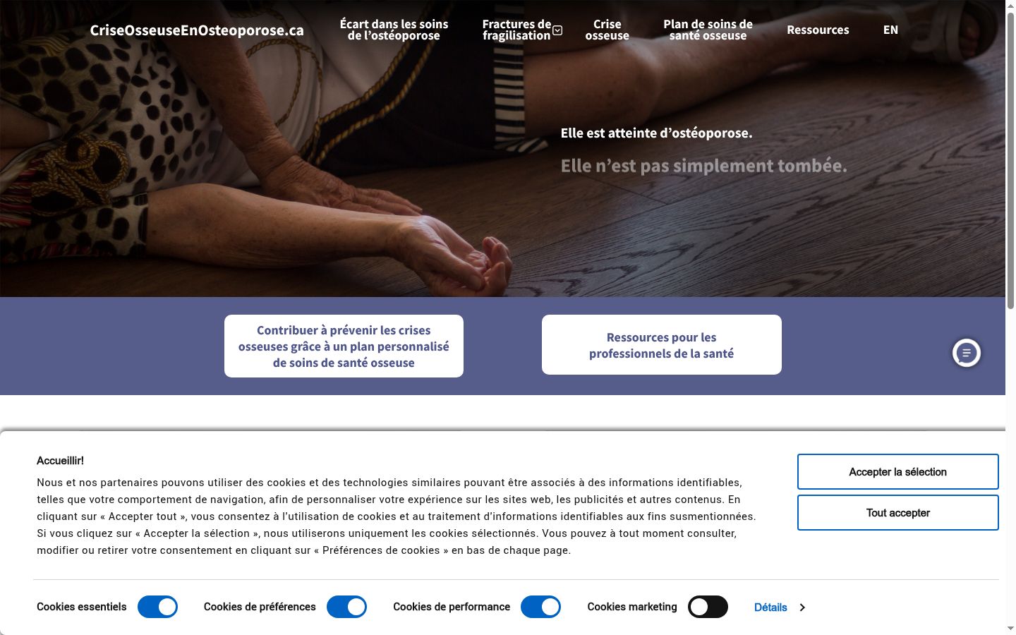 Screenshot tal-banner tal-kunsens muri qabel kwalunkwe interazzjoni