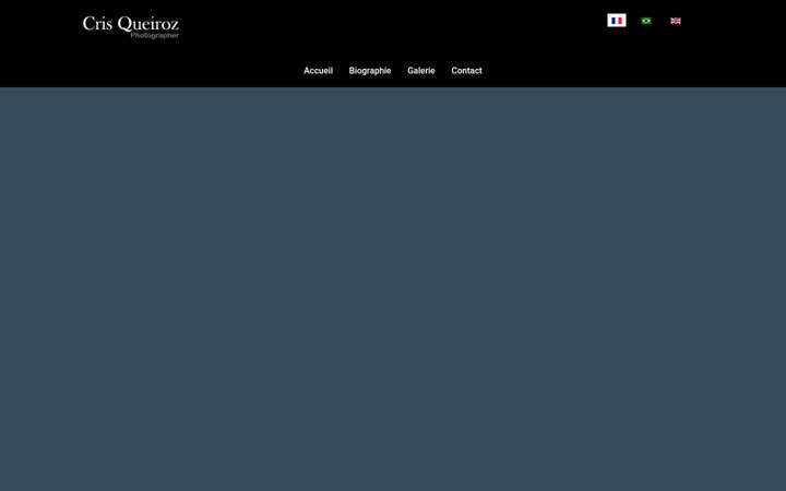 Screenshot of crisqueiroz.com