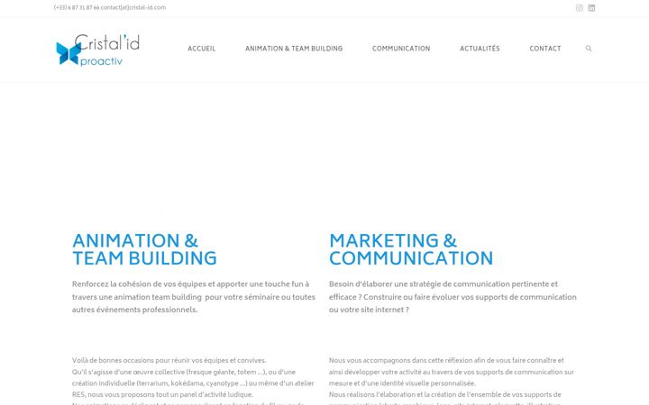 Screenshot of cristal-id.com