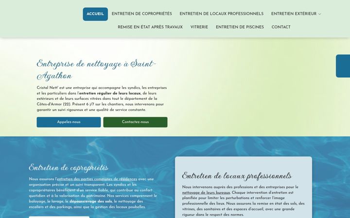 Screenshot of cristal-nett.fr