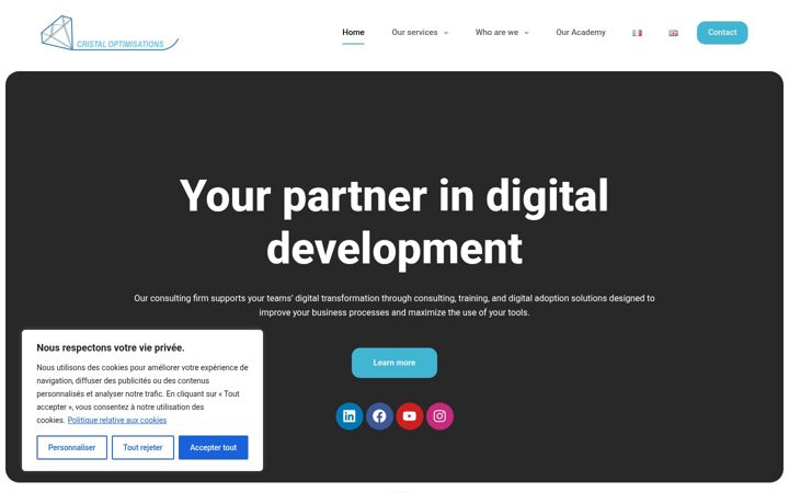 Screenshot of cristal-optimisations.com