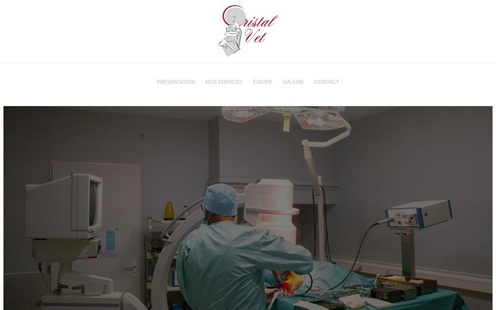 Screenshot of cristalvet.fr