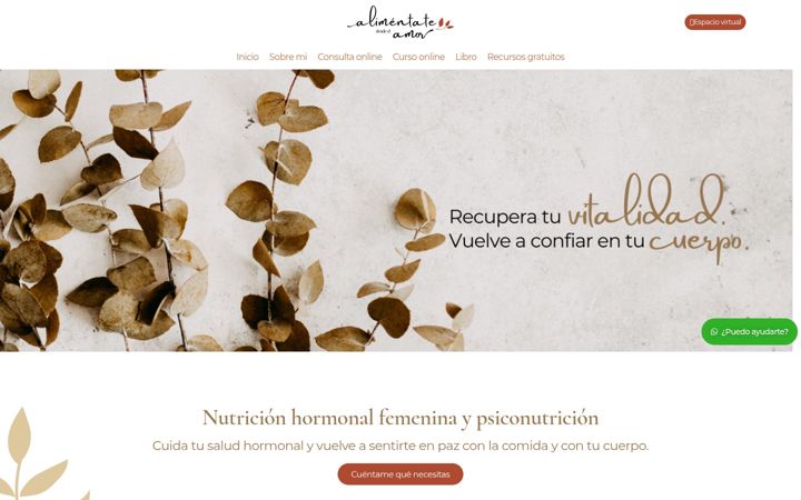 Screenshot of cristinabarrosoeducacionalimentaria.com