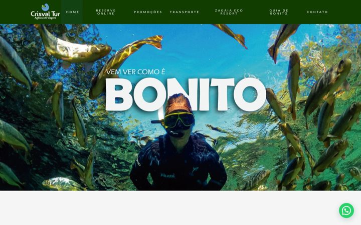 Screenshot of crisval.com.br