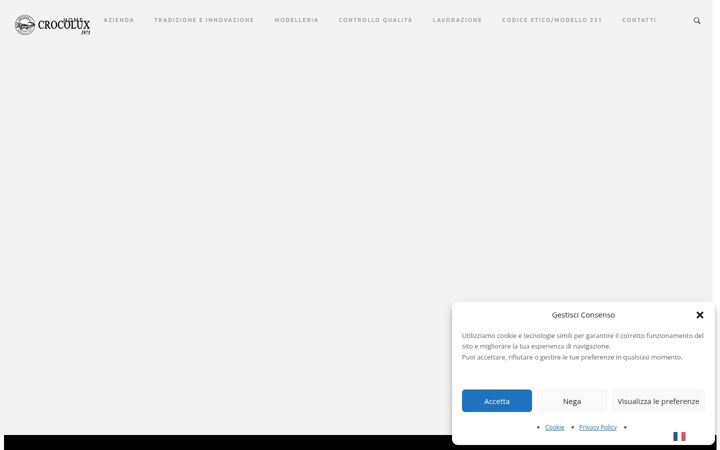 Screenshot of crocolux.it