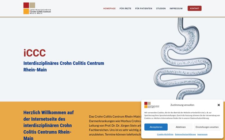 Screenshot of crohn-colitis-centrum.de
