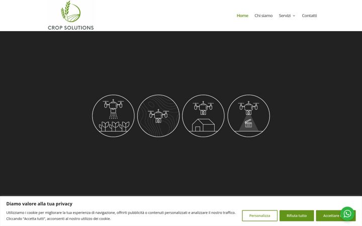 Screenshot of crop-serviziodroni.it