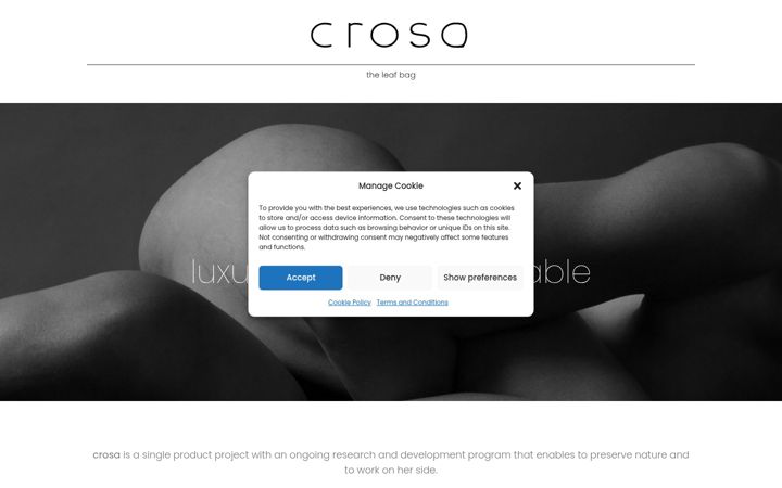 Screenshot of crosa-milano.com