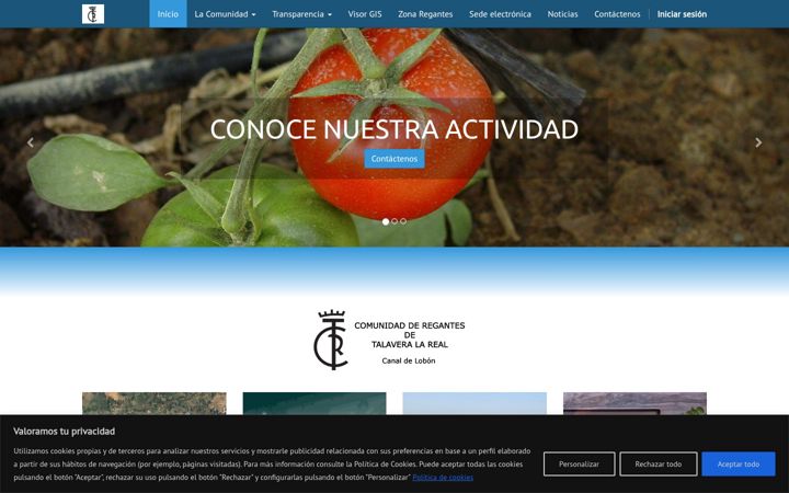 Screenshot of crtalaveralareal.org