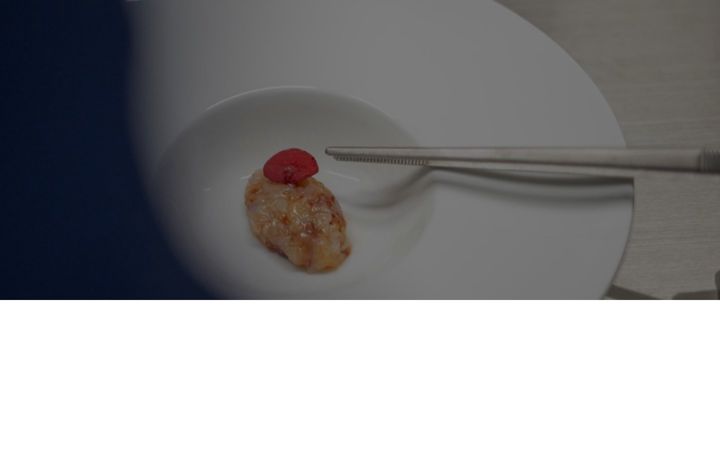 Screenshot of crudofrittoebollicine.it