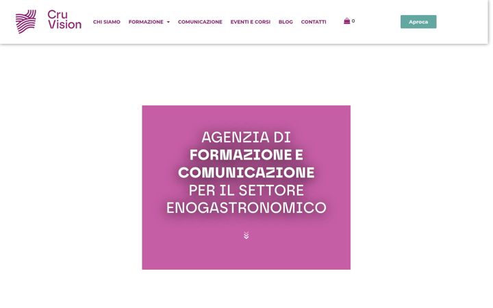 Screenshot of cruvision.it