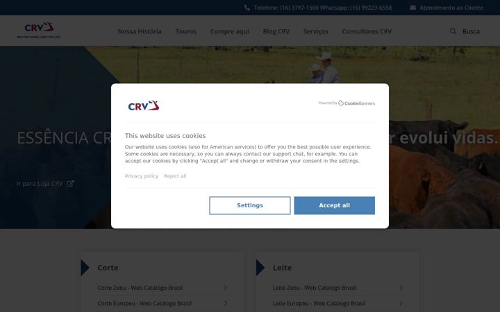 Screenshot of crvlagoa.com.br
