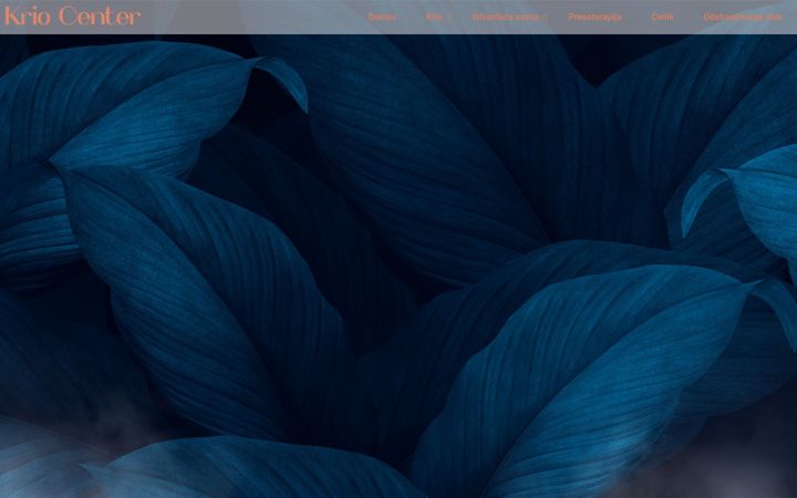 Screenshot von cryo-center.si