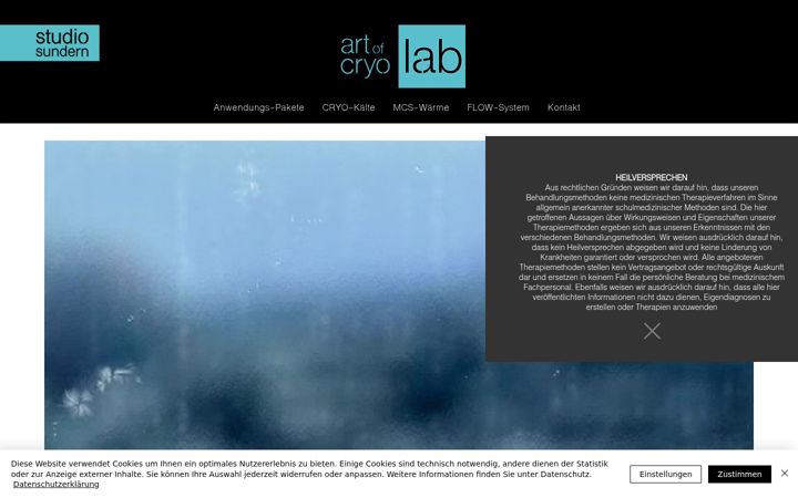 Screenshot of cryo-sundern.de