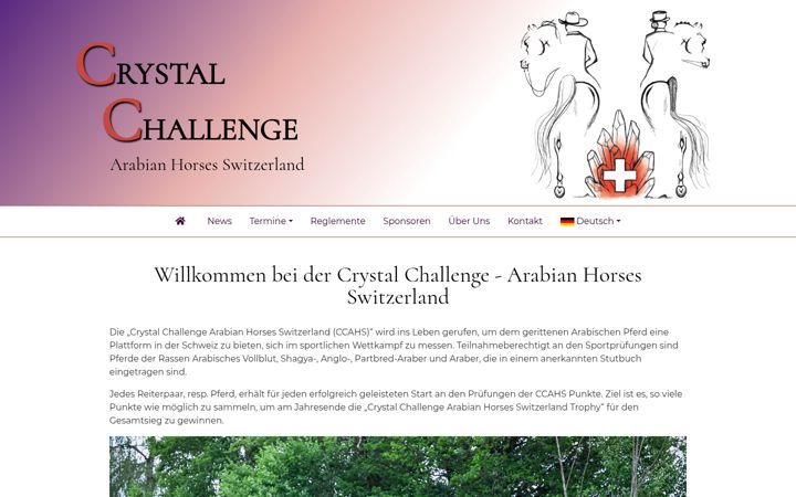 Screenshot of crystal-challenge.ch
