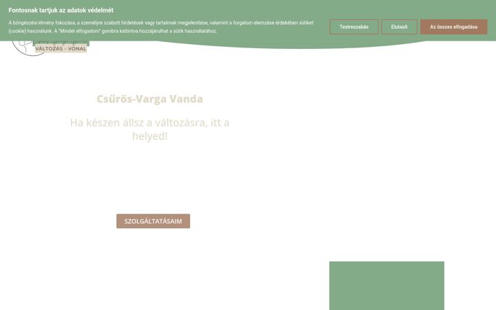 Screenshot του cs2vcoaching.hu
