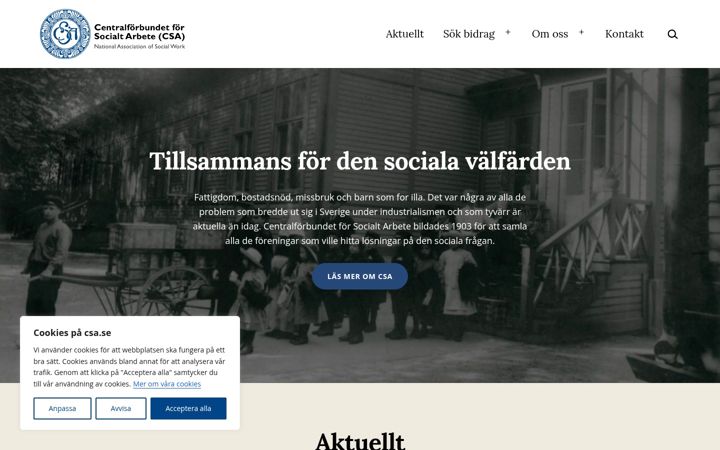 Screenshot of csa.se