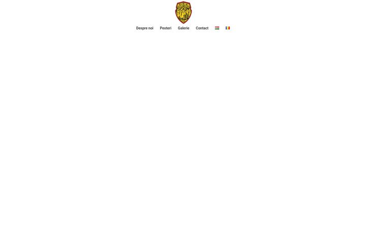Screenshot of csacluj.ro