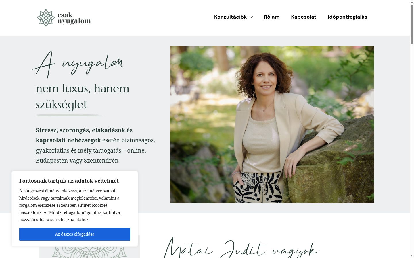 Capture d'écran de la bannière de consentement affichée avant toute interaction