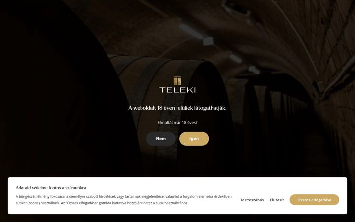 Screenshot of csanyipinceszet.hu