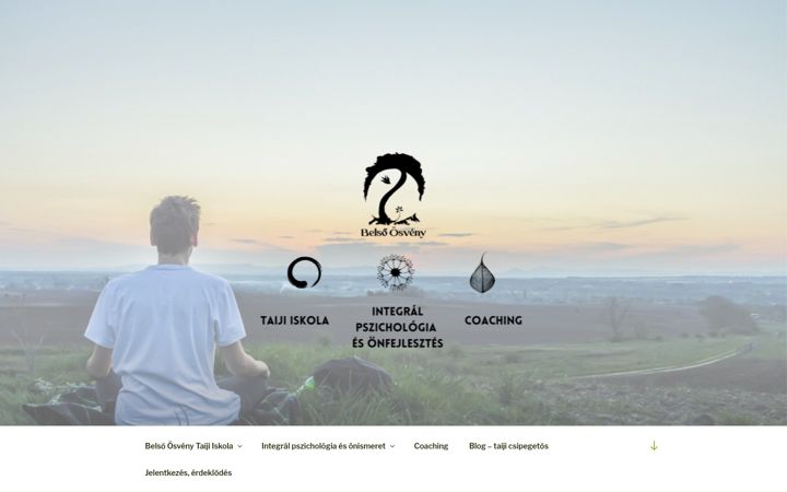 Screenshot of csanyizita.hu