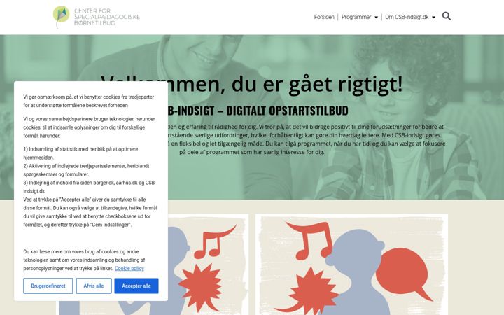 Screenshot of csb-indsigt.dk