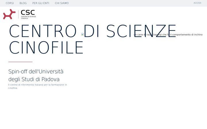 Screenshot of cscpadova.com
