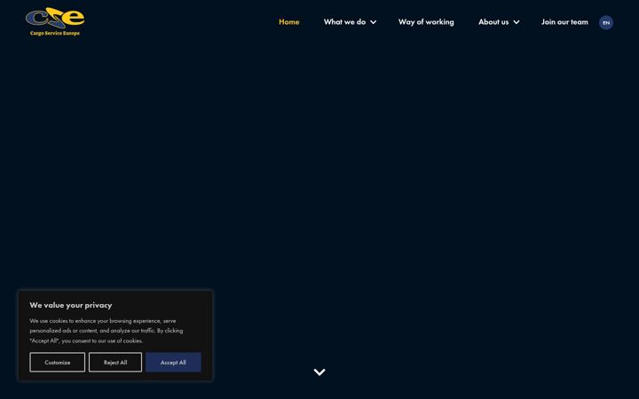 Screenshot of cse.nl