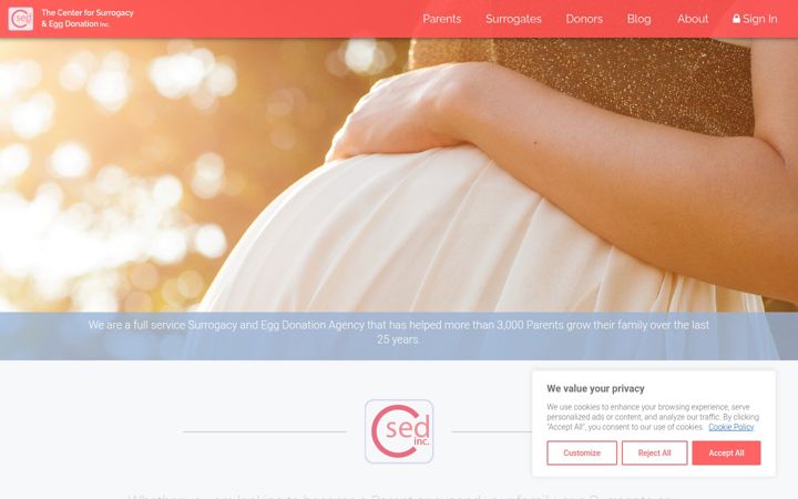 Screenshot of csedinc.com