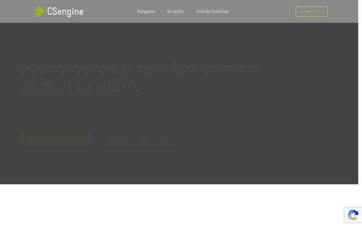 Screenshot of csengine.es