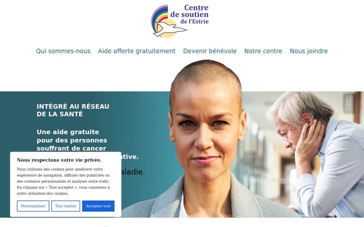 Screenshot of csestrie.org