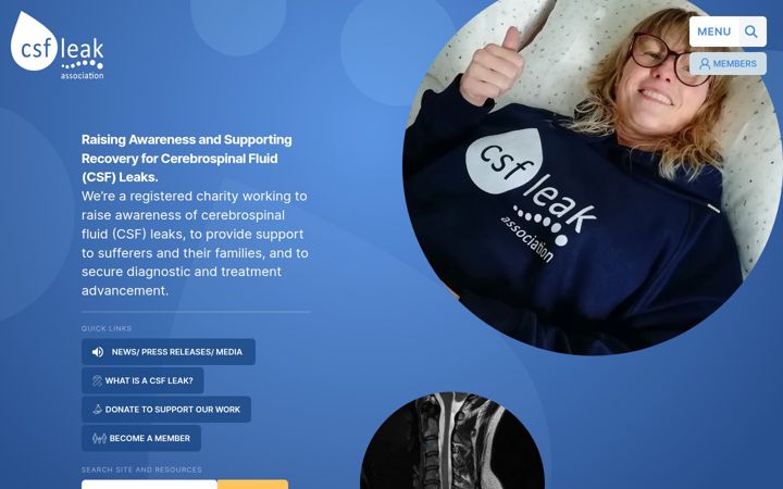 Screenshot of csfleak.uk