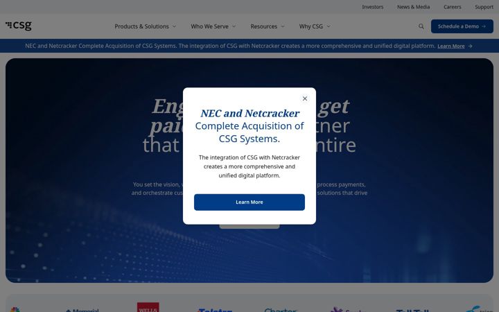 Screenshot di csgi.com