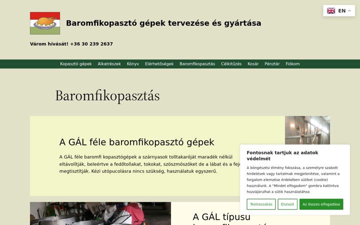 Snímek obrazovky csirkekopaszto.hu