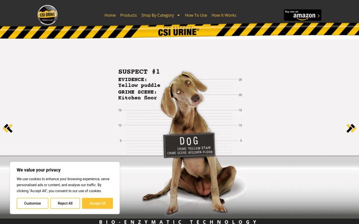 Screenshot of csiurine.com