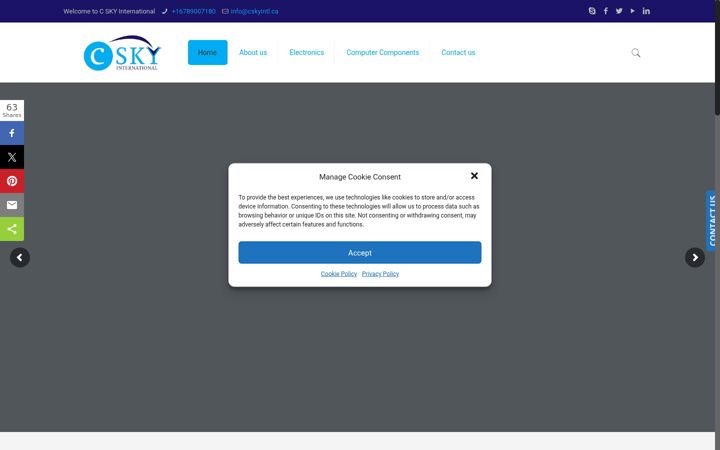 Screenshot of cskyintl.ca