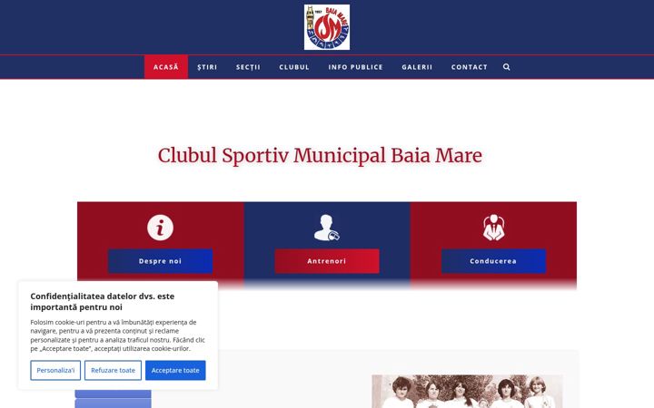 Screenshot of csm-baiamare.ro