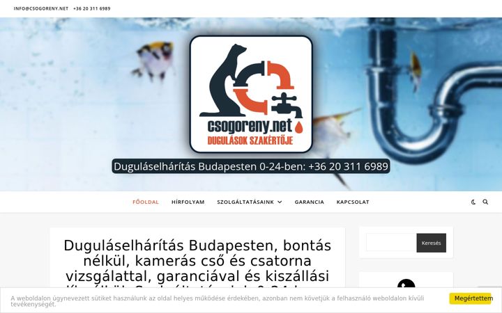 Ekrano kopija csogoreny.net