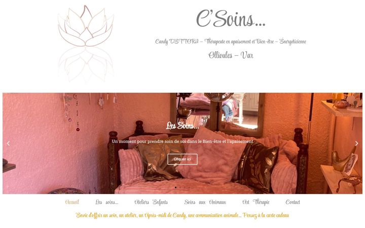 Screenshot of csoins.fr