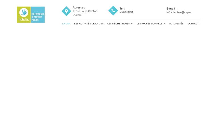 Screenshot of csp.nc