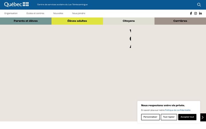 Screenshot of csslt.gouv.qc.ca