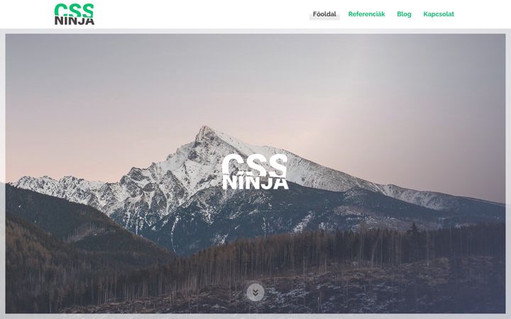 Screenshot of cssninja.hu