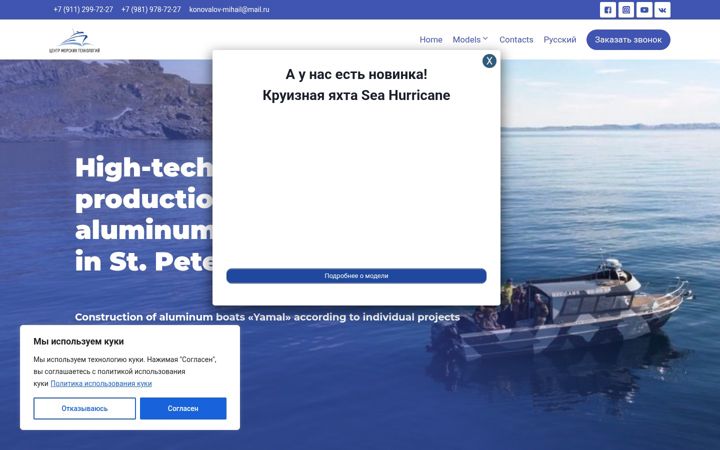 Screenshot ta' cst-boats.ru